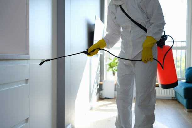 Best Emergency Mold Removal  in Sioux Center, IA